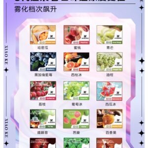 XIAOKE 可替換式電子煙 (對應 RELX6代) (標準款)